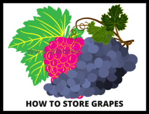 Steps How to store grapes