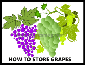 How to store grapes ( Tips & warning)