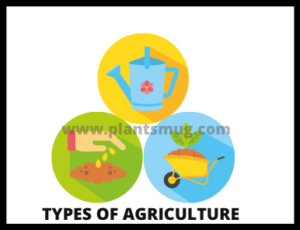 Types Of Agriculture