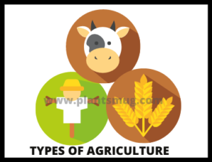 Types Of Agriculture