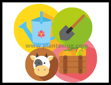 Agriculture Definition Understand In Easy Steps