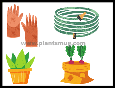 Types of gardening methods