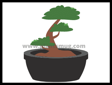 Bonsai Plants