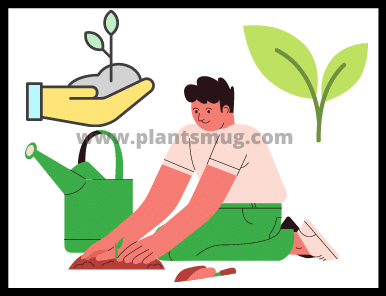 Top 12 Best Money Saving Tips For Gardeners (2021)