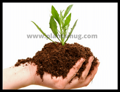 what are the benefits of vermicomposting